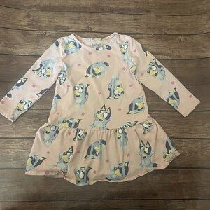 Girl’s Bluey Pink Dress 3T Toddler Drop Waist